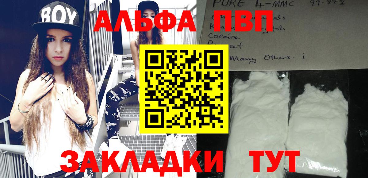 Альфа ПВП СК КРИС Киров