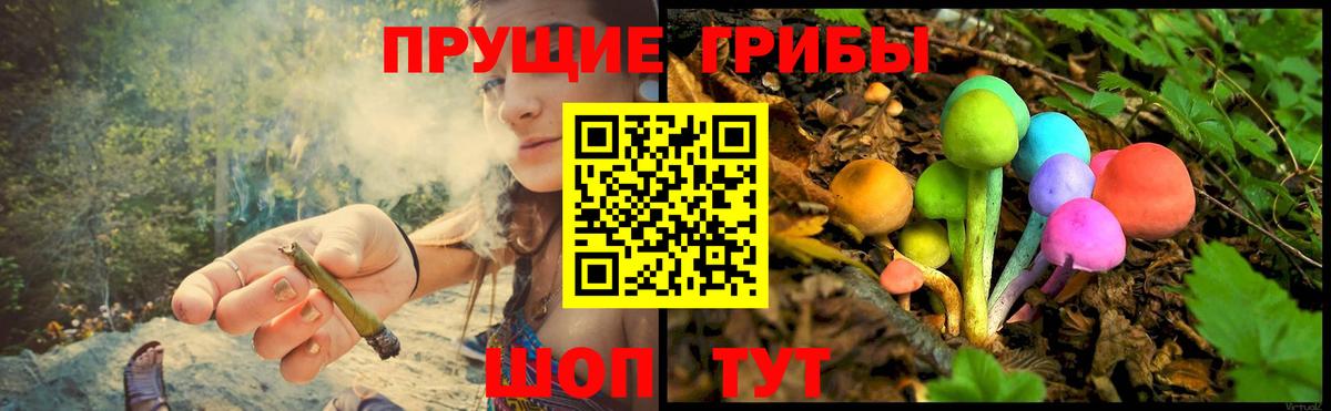 Псилоцибиновые грибы ЛСД  Вход с VPN  Киров 